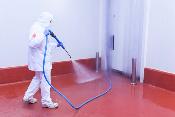 Best Graffiti Removal  in Fernandina Beach, FL