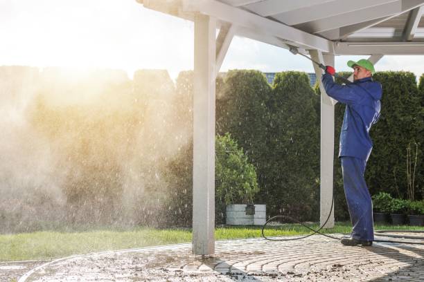 Best Gutter Cleaning  in Fernandina Beach, FL